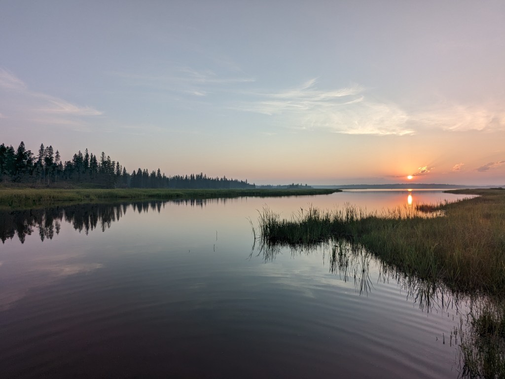 “Too Much Nature”