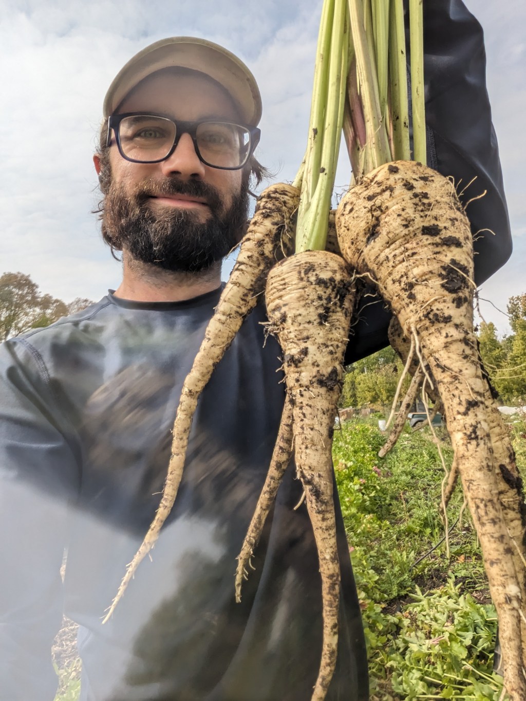 4th Time Is a Charm: Growing&nbsp;Parsnips