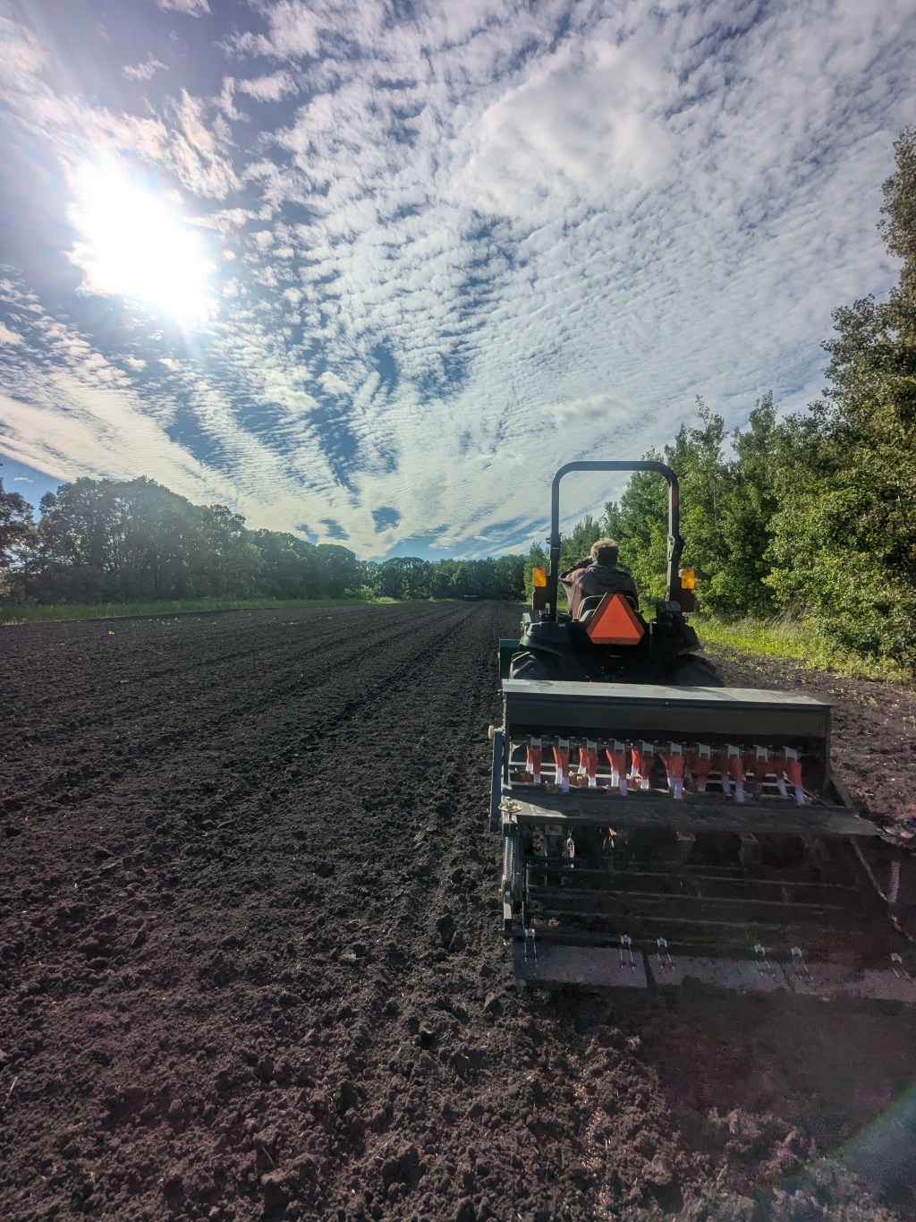 Our First Cover&nbsp;Crop