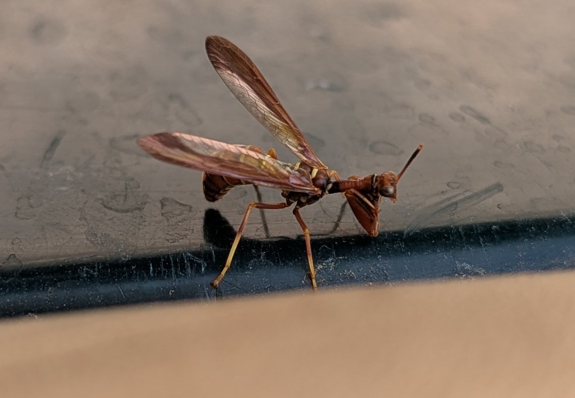 Documenting Biodiversity on the Farm