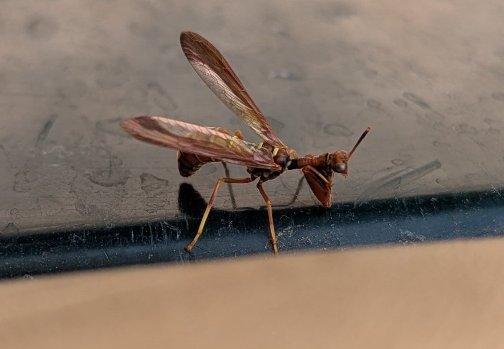 Documenting Biodiversity on the Farm